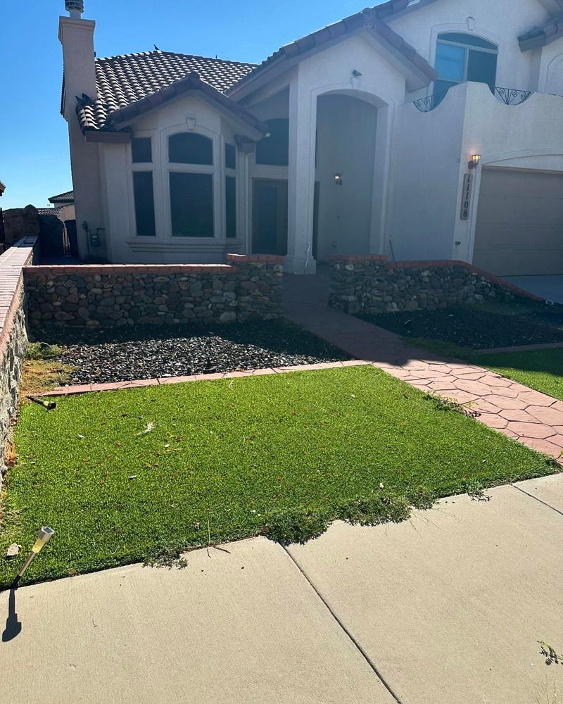Unmaintained Lawns