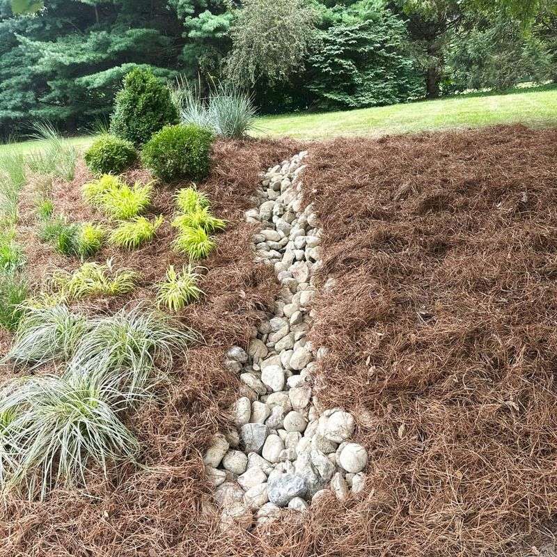 Mulch Bare Soil Areas