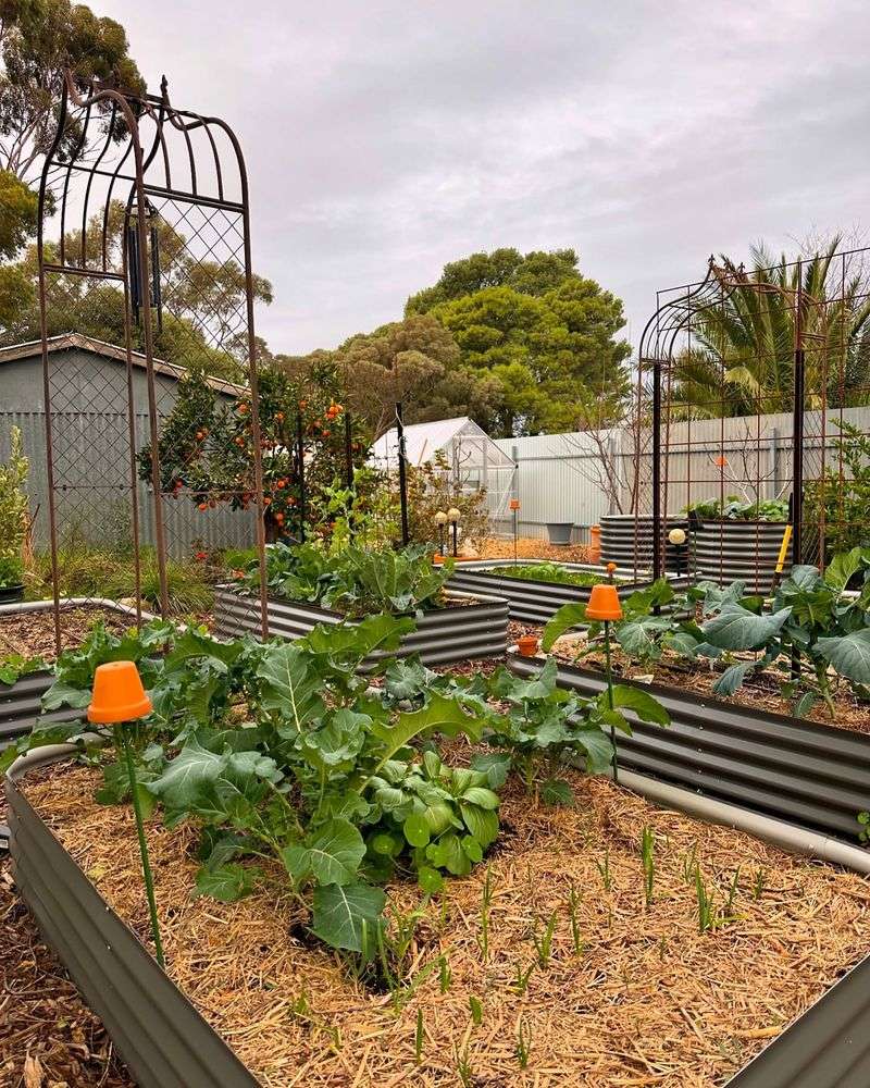 Extended Growing Season