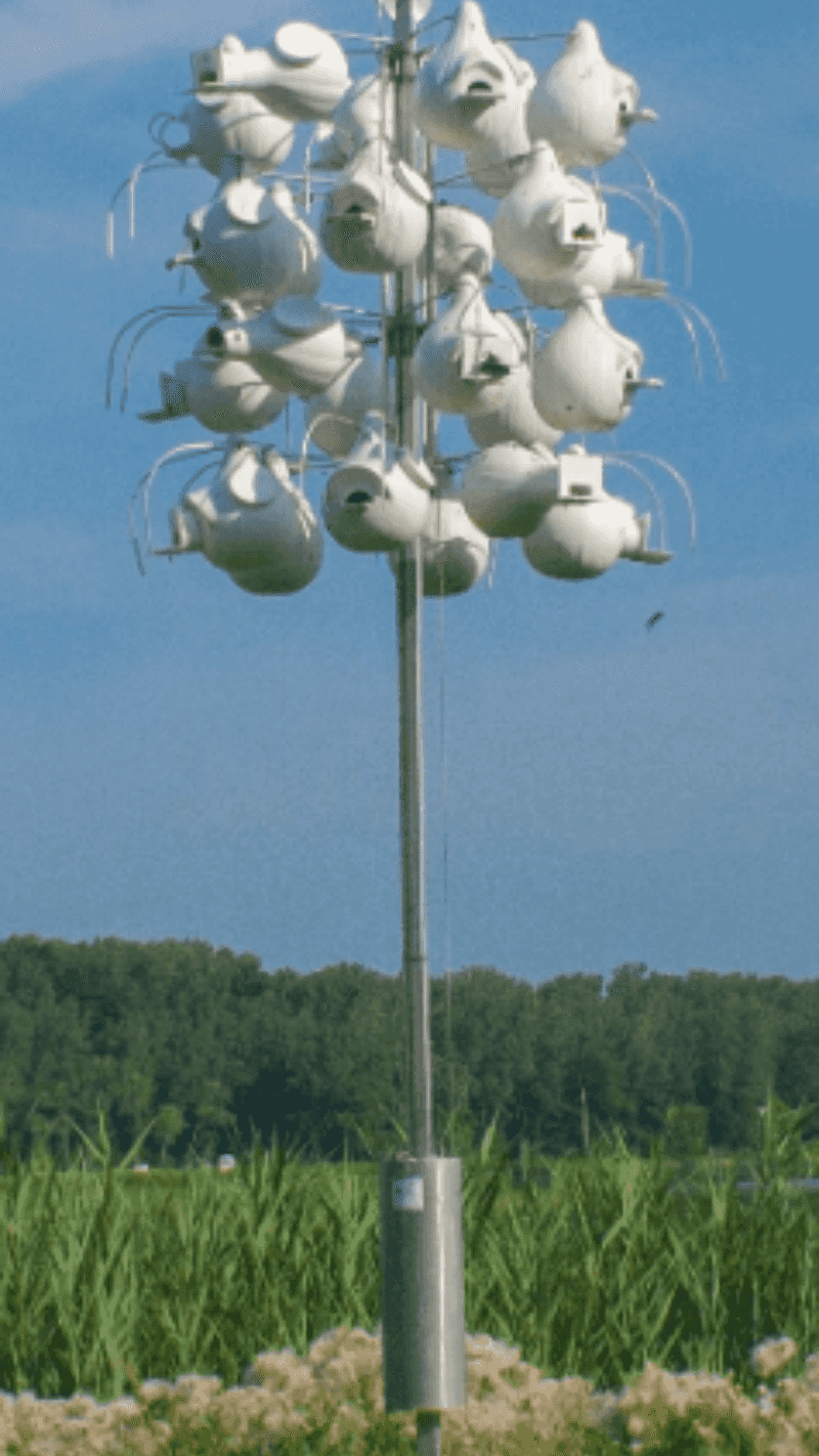 Predator Guards Installation