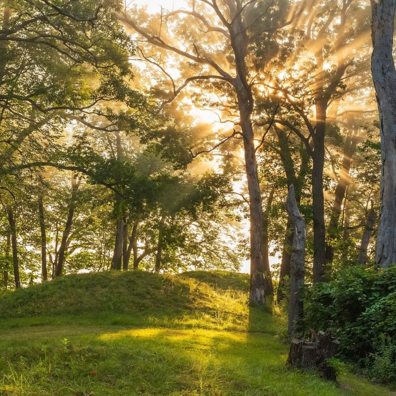 Effigy Mounds' Wildflower Meadows