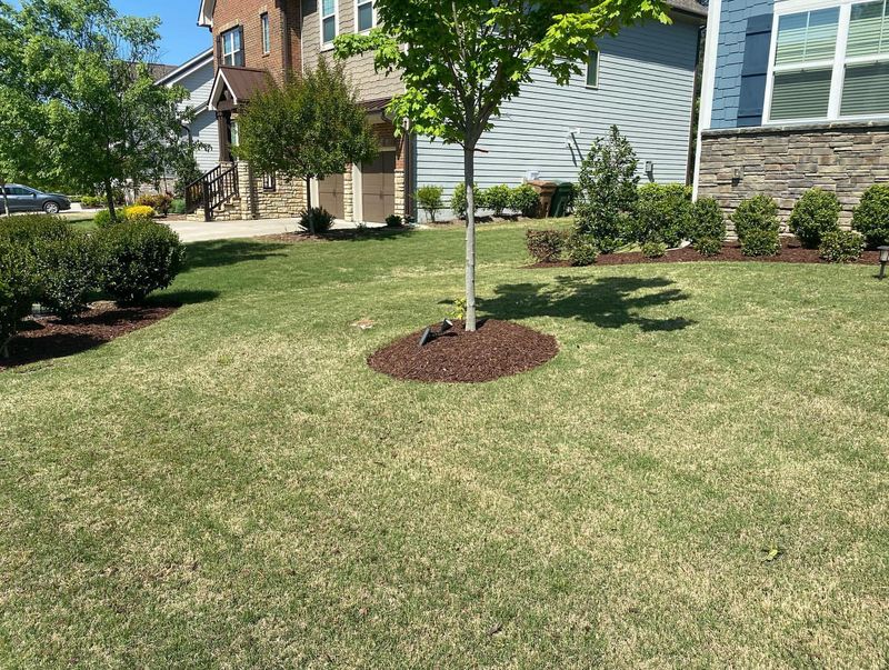 Maintain Yard Features
