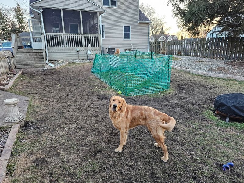 Protect Small Pets and Children