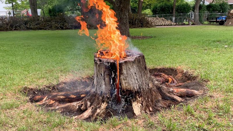 Burn It Out Safely