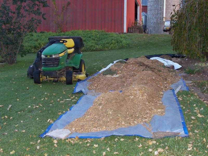 Mulching With Autumn Leaves