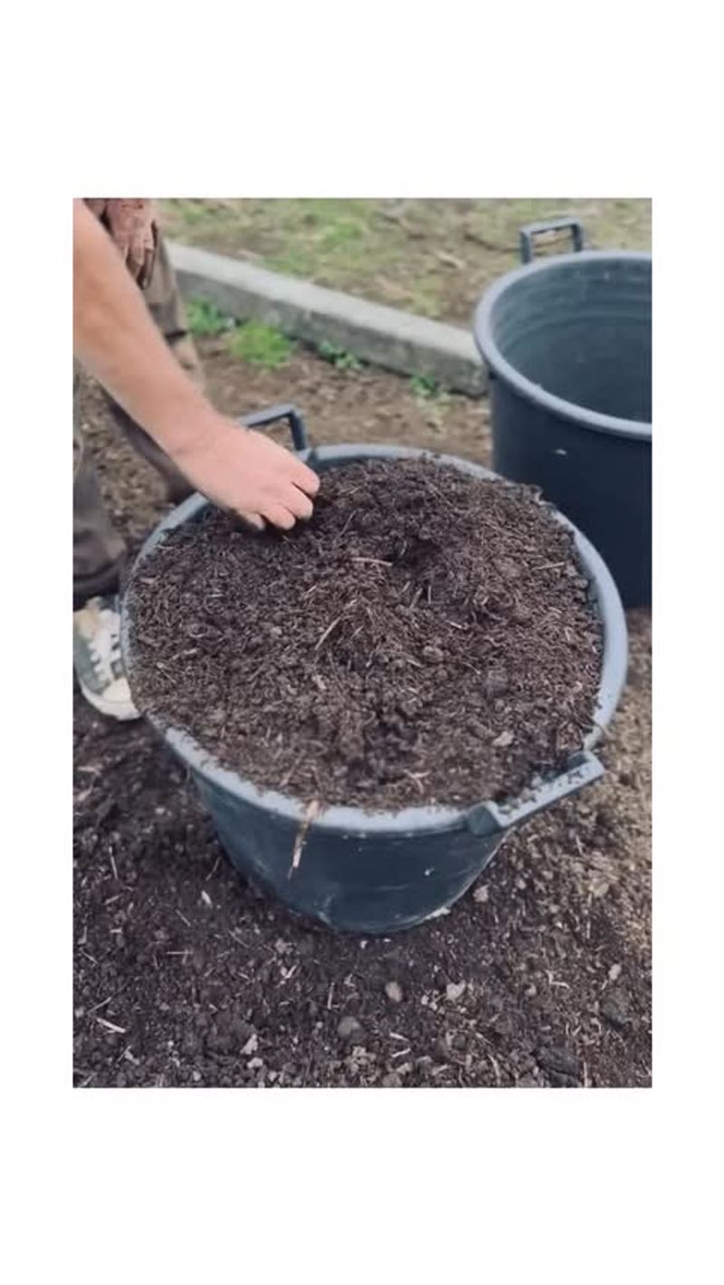 Local Compost Mix
