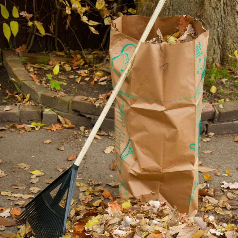 Creates Disposal Challenges