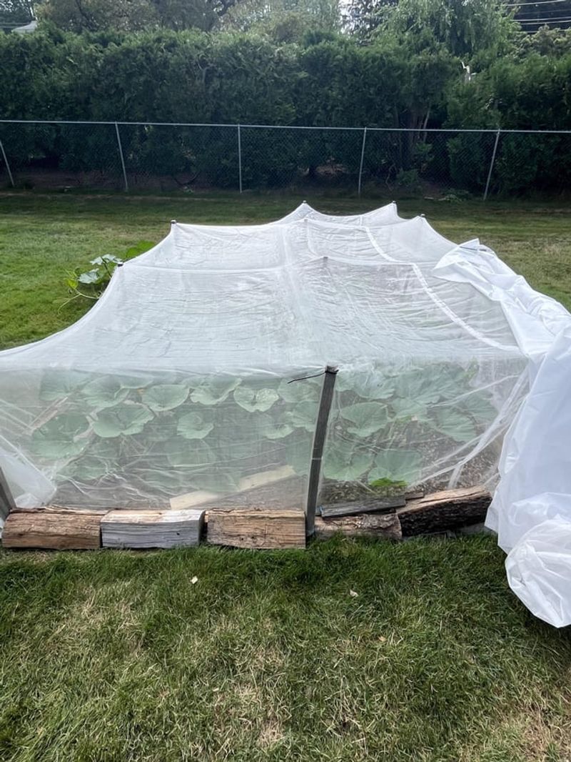 Versatile Protection For Various Garden Elements