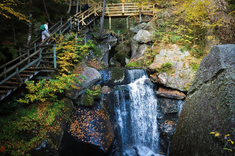 Bedell Bridge State Park's River Sanctuary