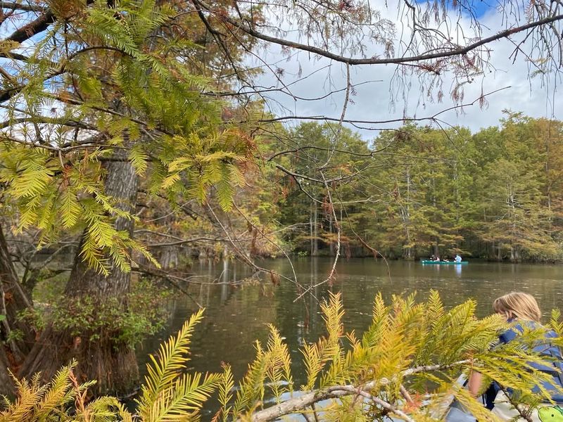 Meeman-Shelby Forest State Park