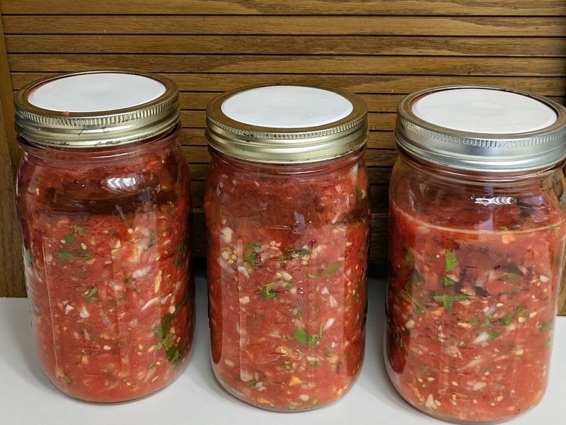 Fermented Tomato Salsa