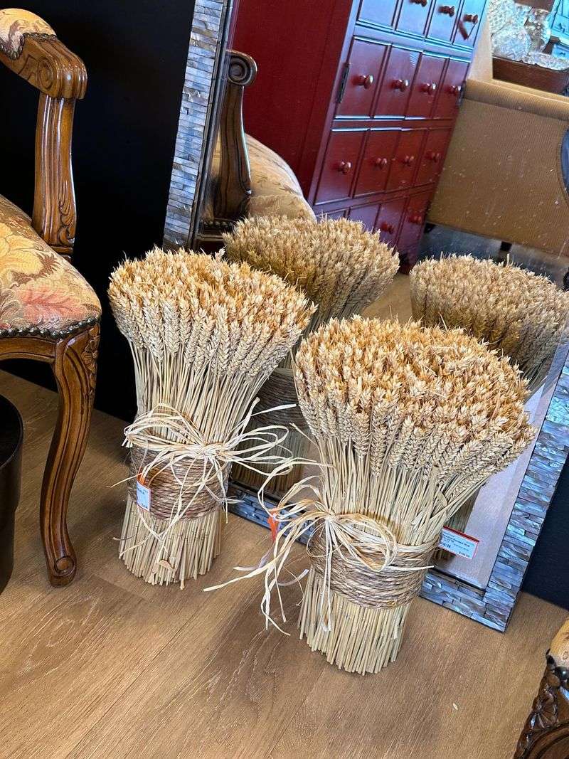 Wheat Sheaf Bundles