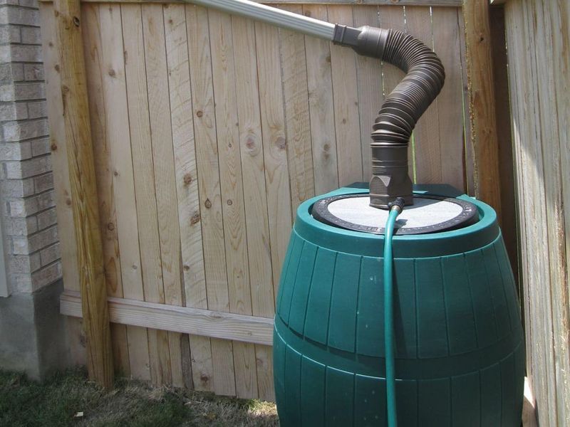 Rainwater Harvesting