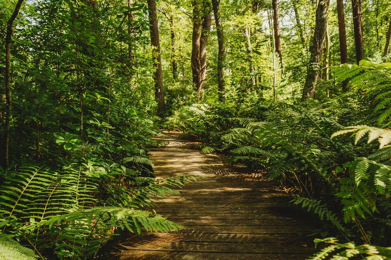 Moose Hill Wildlife Sanctuary, Sharon