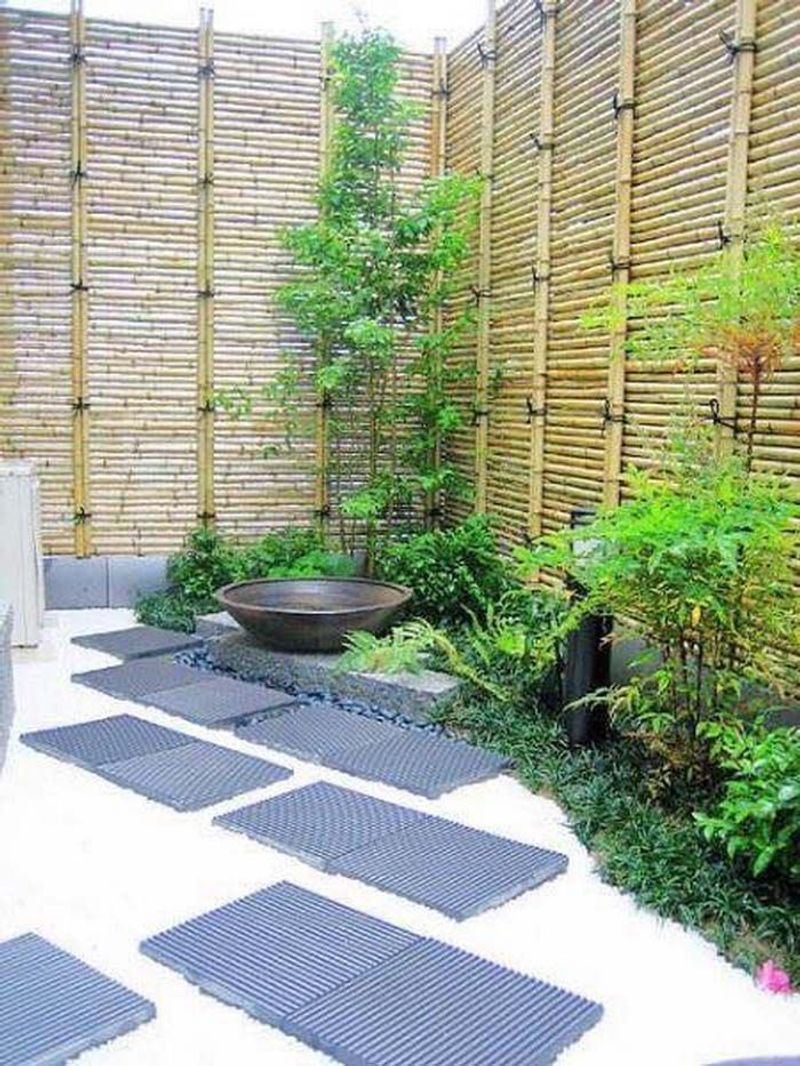 Bamboo Boundaries