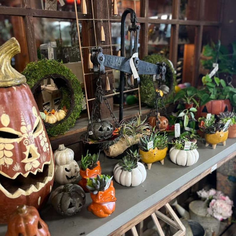 Pumpkin Pottery Displays