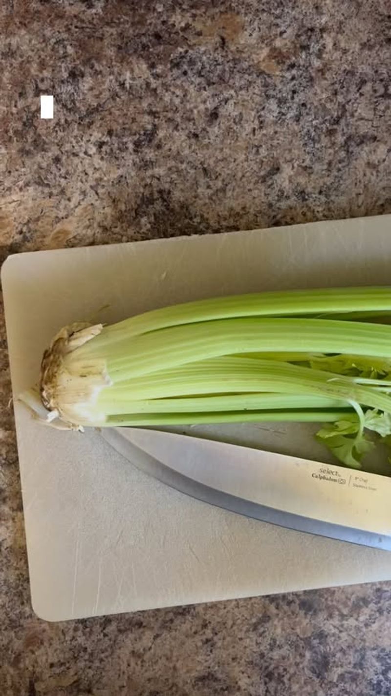 Celery Stump Magic
