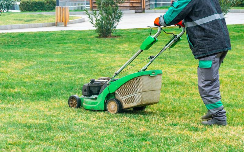 Strategic Mowing Regimen