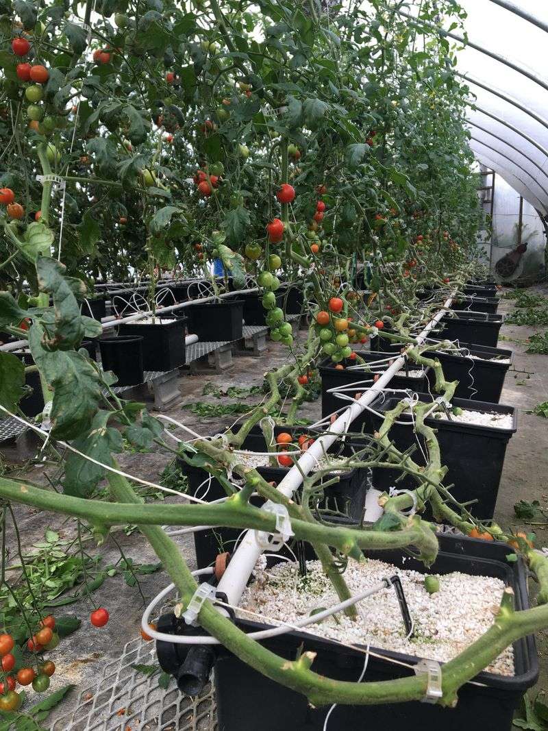 Reduce Watering
