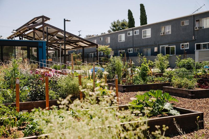 La Semilla Garden Collective In Los Angeles