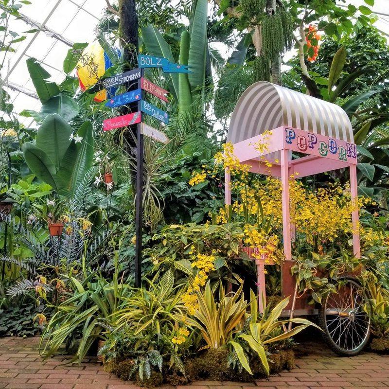 Bolz Conservatory Houses Tropical Wonders Year-Round