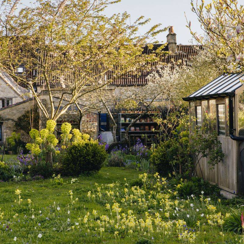 The Woodland Cottage Garden In Petersham