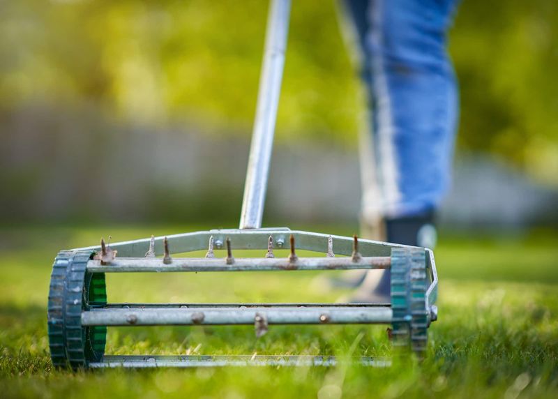 Aeration Techniques In Cooler Weather