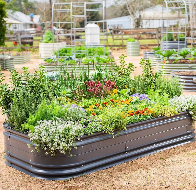 Raised Beds