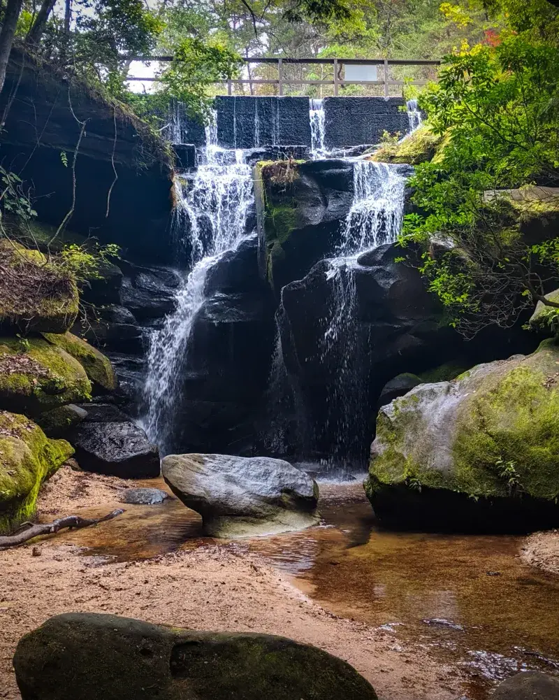 Dismals Canyon