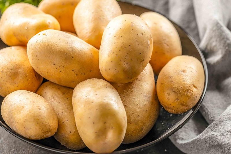 Yukon Gold – Buttery All-Purpose Favorite