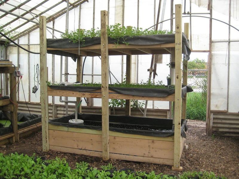 Vietnamese Aquaponic Systems