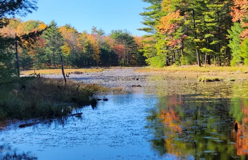 Hidden Valley Nature Center
