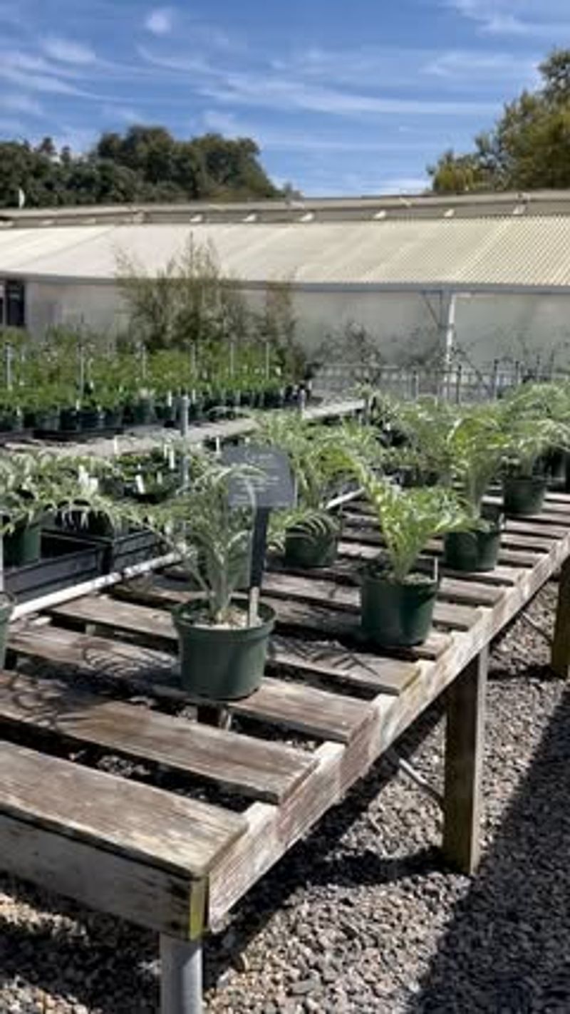 Monterey's Coastal Herb Gardens