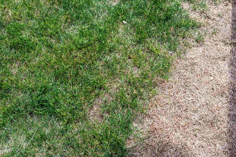 Salt Buildup From Winter Treatments