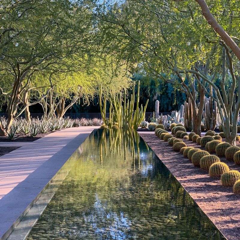 Sunnylands Center & Gardens