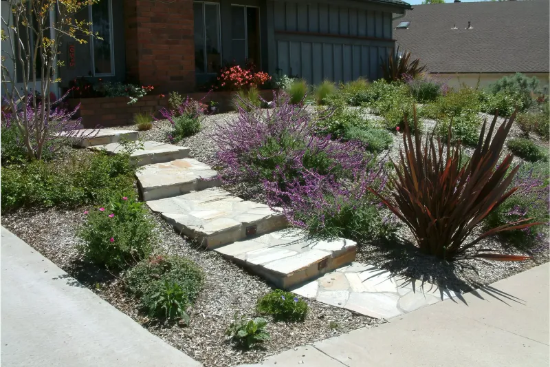 Reduce Fire Risk With Proper Native Plantings