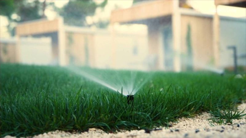 Watering At The Wrong Time