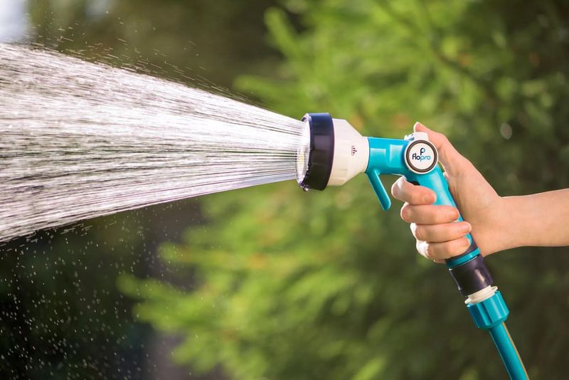 Watering at Midday
