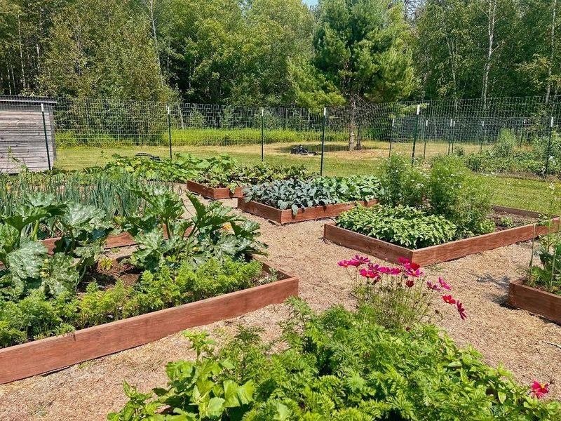 Minnesota Landscape Arboretum's Nordic Collection