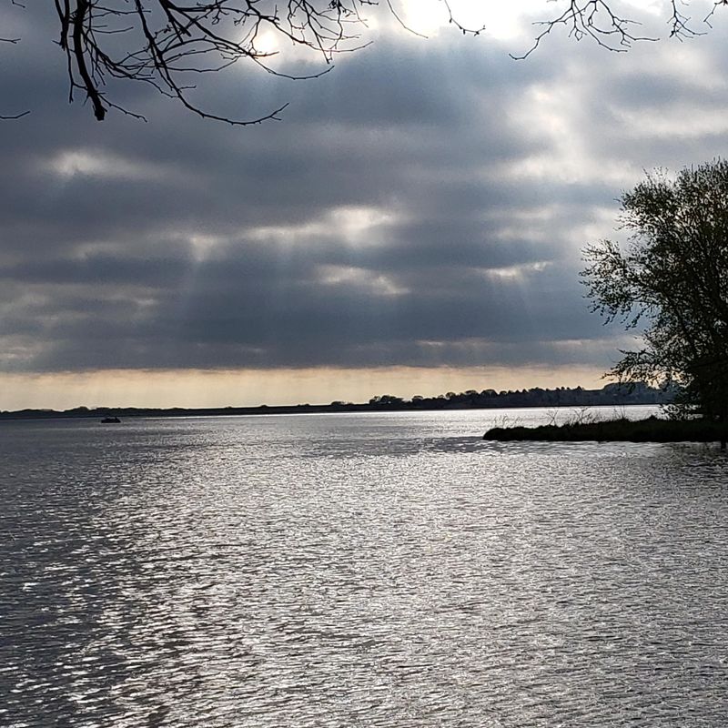Branched Oak Lake