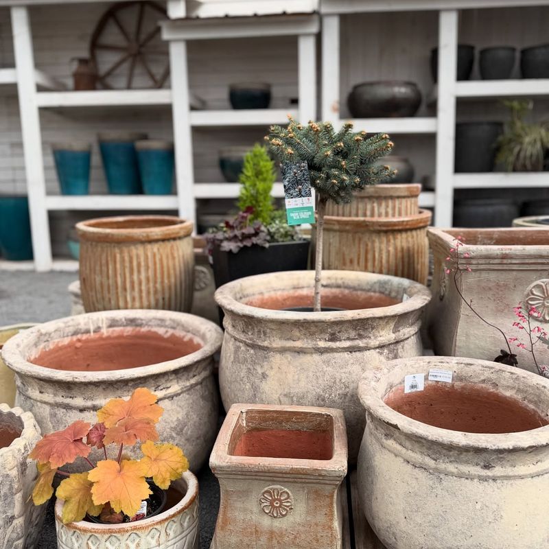 Decorative Pottery Collections
