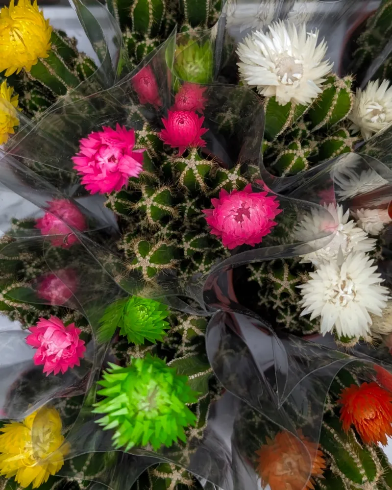Blooming Basics
