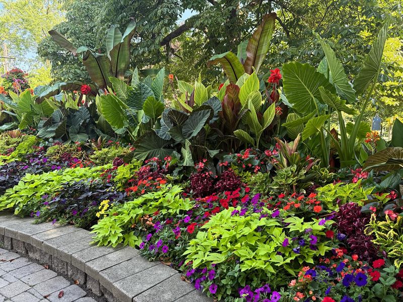 Add Tropical Color Bursts
