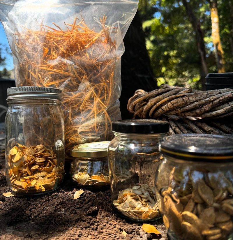 Seed Saving Ceremonies