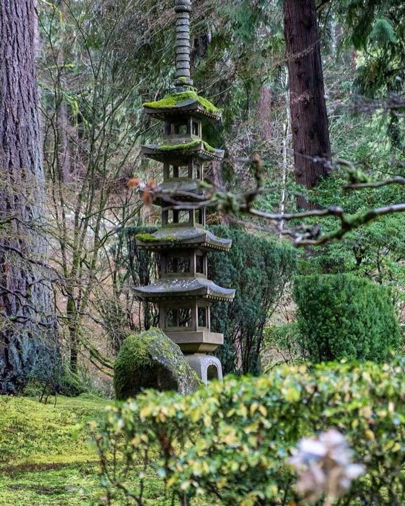 Harmony Of Natural Elements