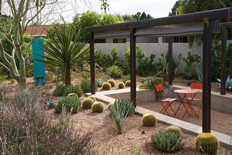 Controlling Weeds With Minimal Water