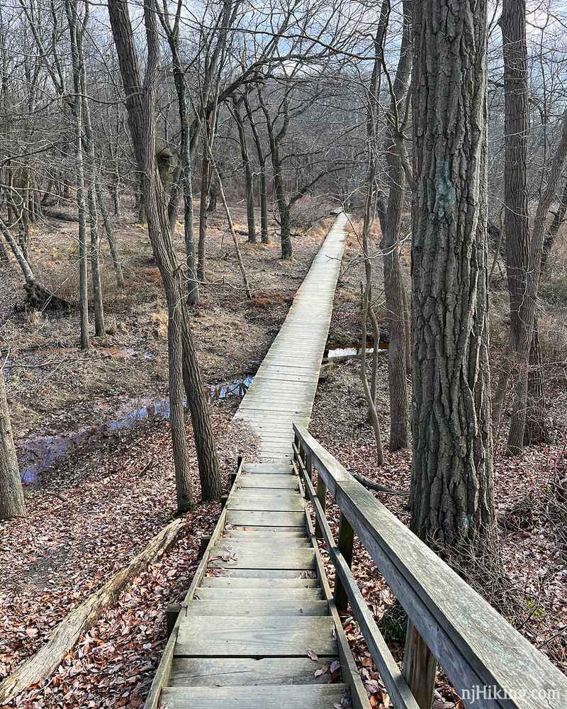 Forgotten Meadows At Cheesequake State Park