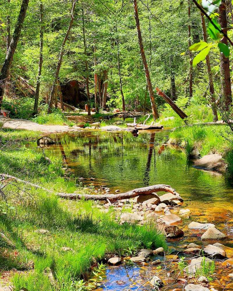 Horton Creek Trail