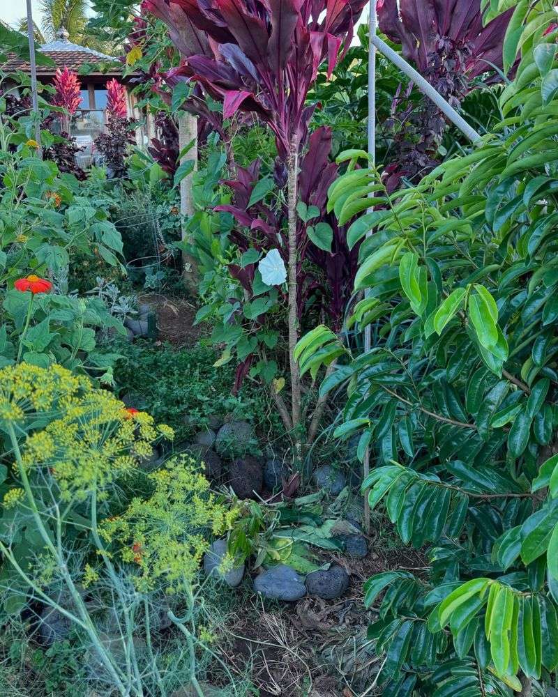 Garden Rituals: Growing Food With Sacred Purpose