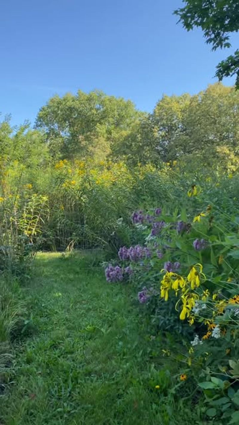 Seasonal Planting Rhythms Guided By Natural Indicators